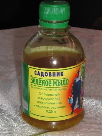 Чем обработать фиалки для профилактики. Смотреть фото Чем обработать фиалки для профилактики. Смотреть картинку Чем обработать фиалки для профилактики. Картинка про Чем обработать фиалки для профилактики. Фото Чем обработать фиалки для профилактики