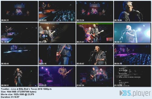 toadies live at billy bobs texas 2018 1080p idx - Toadies - Live at Billy Bob's Texas (2018) [HD 1080p] [H.264,AC3]