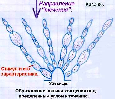 Что такое сознание и личность человека? 380