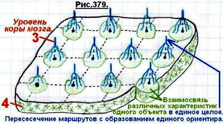 Что такое сознание и личность человека? 379