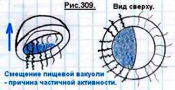 Что такое сознание и личность человека? 309