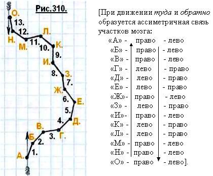 Что такое сознание и личность человека? 310