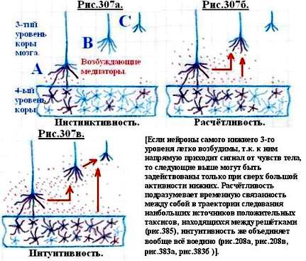 Что такое сознание и личность человека? 307