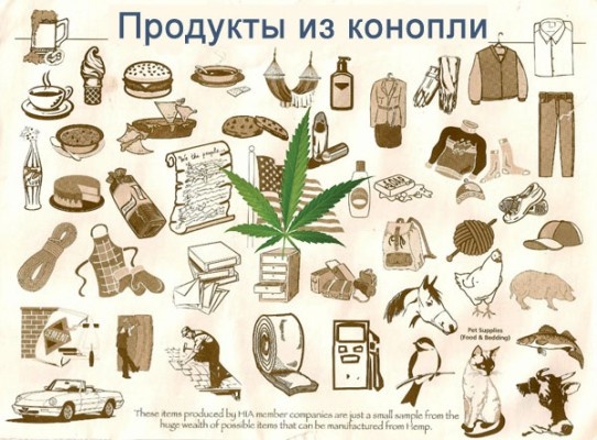 Для чего используют семена конопляные. Смотреть фото Для чего используют семена конопляные. Смотреть картинку Для чего используют семена конопляные. Картинка про Для чего используют семена конопляные. Фото Для чего используют семена конопляные