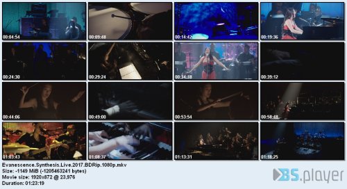 Evanescence - Synthesis Live (2018) BDRip 1080p