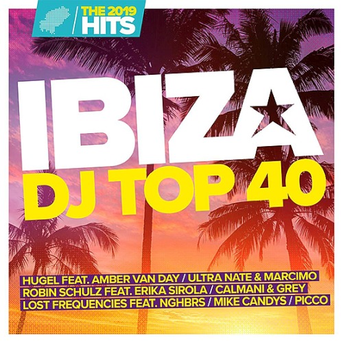 Ibiza DJ Top 40 The Hits (2019)