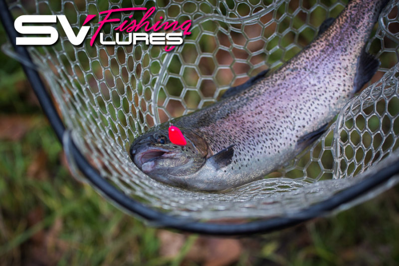 sv-fishing-lures-trout.jpg