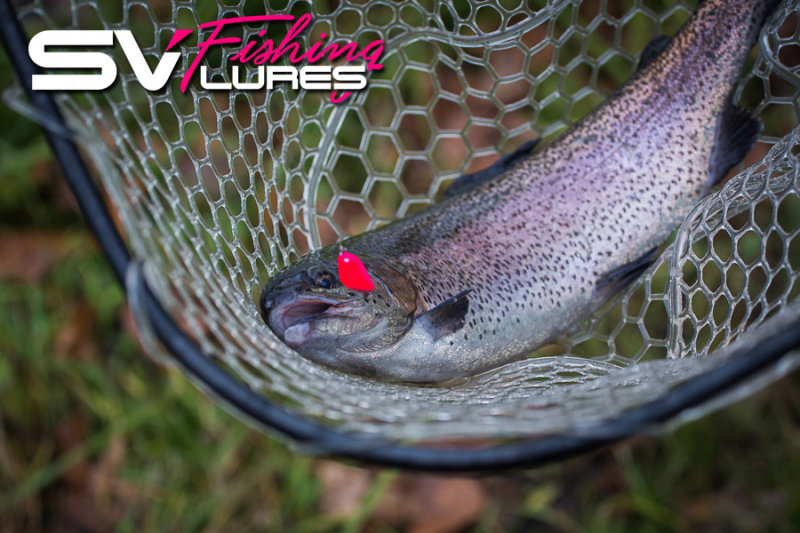 http://www.imageup.ru/img217/2275218/sv-fishing-lures-trout.jpg