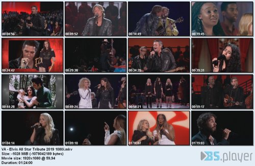 va elvis all star tribute 2019 1080i idx - VA - Elvis All Star Tribute (2019) HDTV