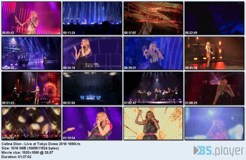 Celine Dion - Live At Tokyo Dome (2018) HDTV