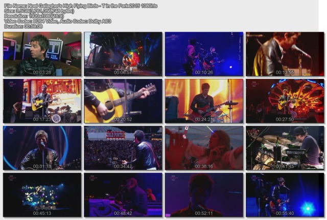 Noel Gallagher's High Flying Birds - T In the Park (2015) HD