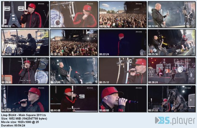Limp Bizkit - Main Square Festival (2011) HDTV