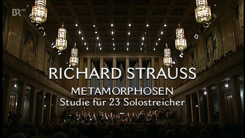 Richard Strauss: Metamorphosen - Studie 23Solostreicher 1999