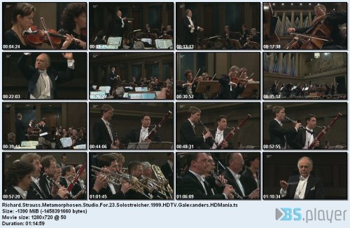 Richard Strauss: Metamorphosen - Studie 23Solostreicher 1999