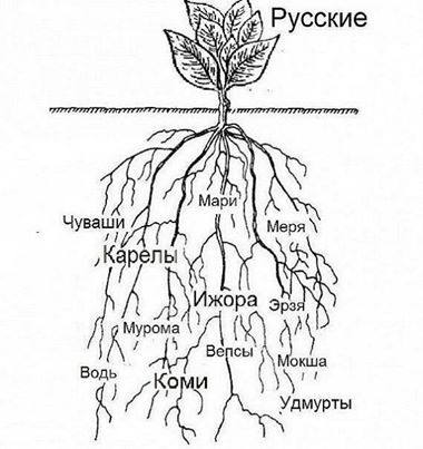 Www.imageup.ru - хостинг для изображений