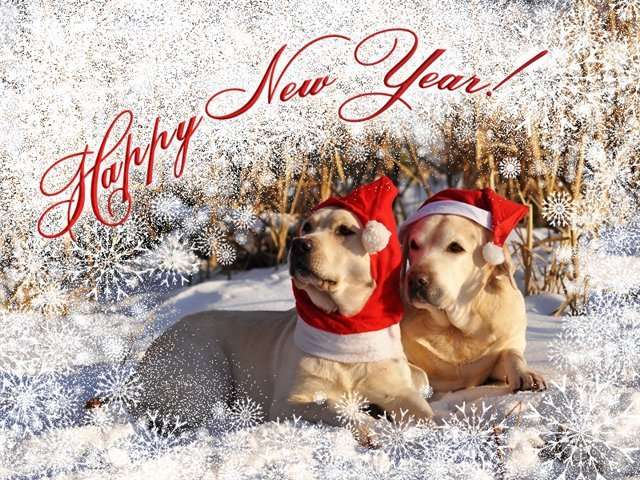 http://www.imageup.ru/img36/2878959/new-year-cards18-1.jpg