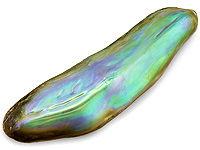 Натуральный перламутр (абалонский жемчуг), его свойства и происхождение