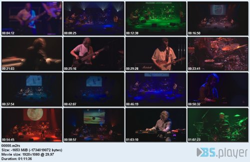 00000 idx - Brand X - The Rites Of Spring Festival (2018) Blu-Ray 1080i