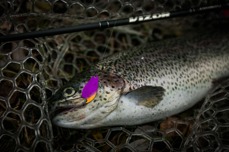 sv-fishing-lures.jpg