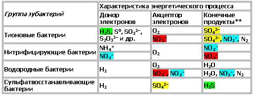 Что такое сознание и личность человека? Bakterii