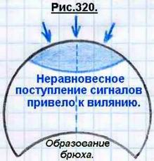 Что такое сознание и личность человека? Odnokletochnye18