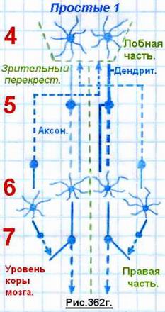 Что такое сознание и личность человека? 2