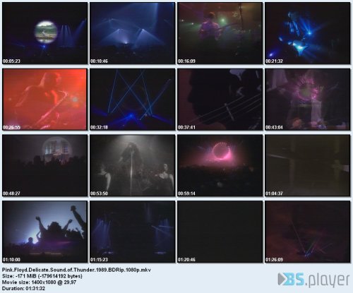 Pink Floyd - Delicate Sound Of Thunder (1989) BDRip 1080p