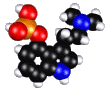 psilocybin_b809488.gif