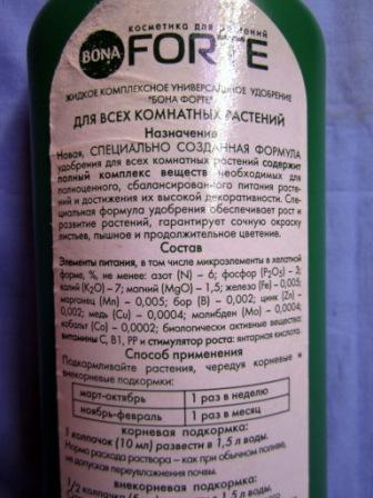 Бесплатный хостинг для хранения изображений