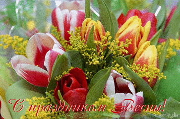 2.gif