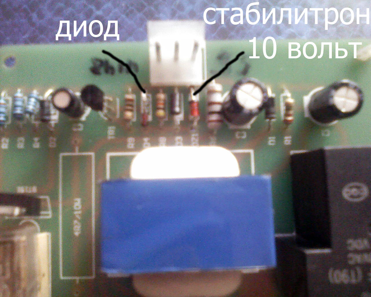 sp_a0555.jpg