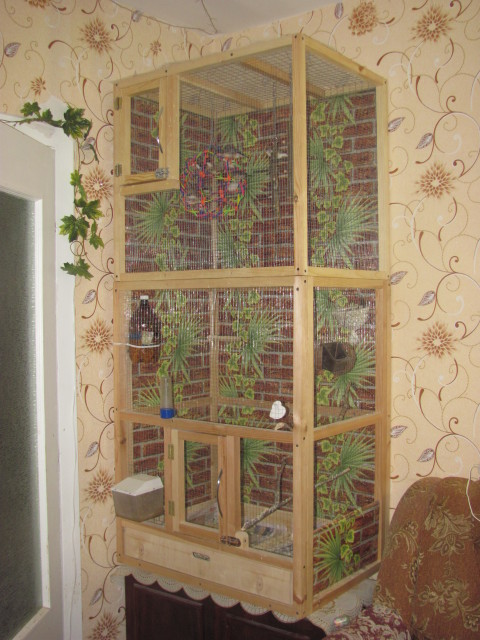 kletka-bolshaya.jpg