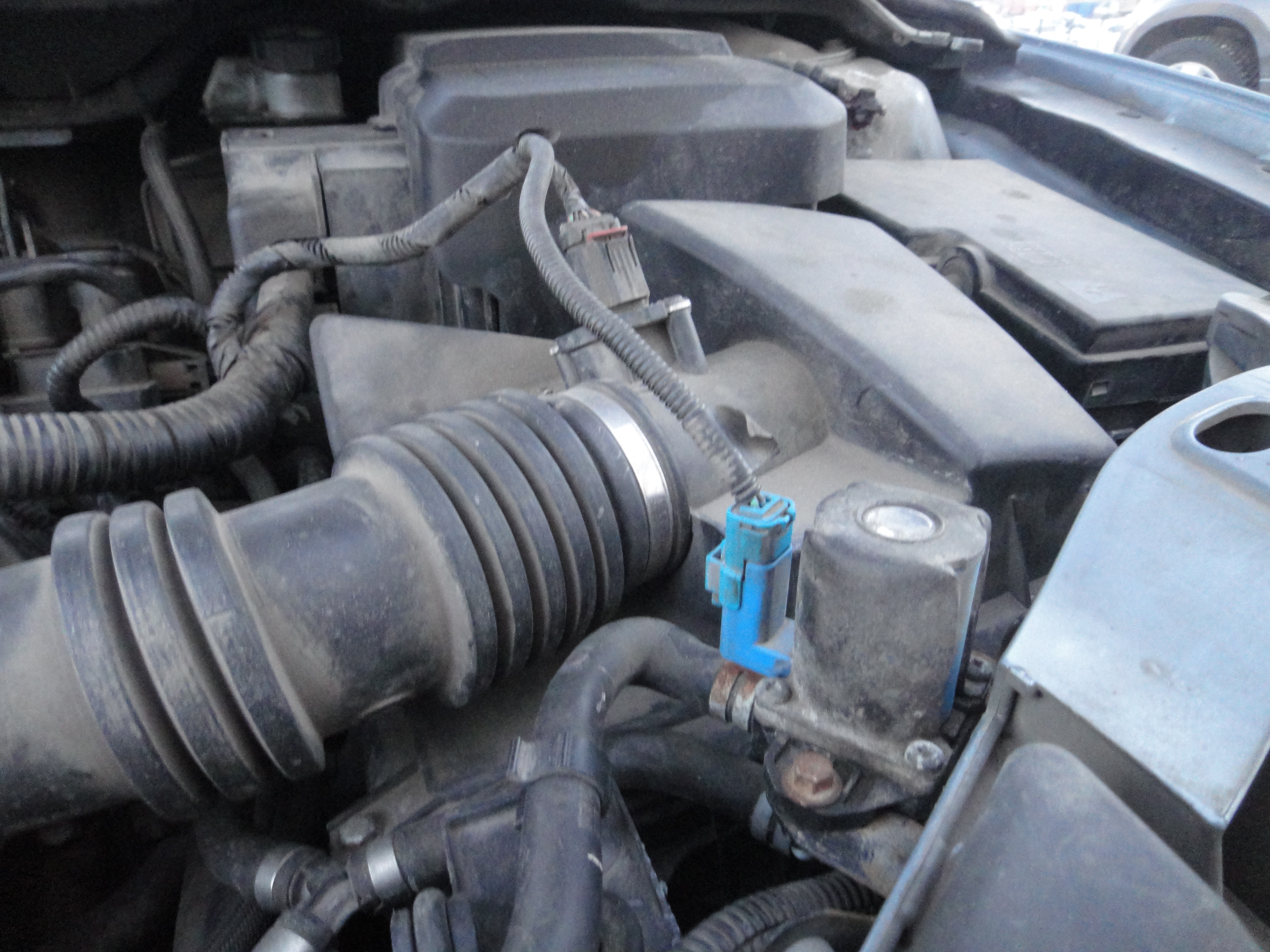 2005 Focus 1.6 Ti-Vct Cooling Issues - Ford Focus Club ...