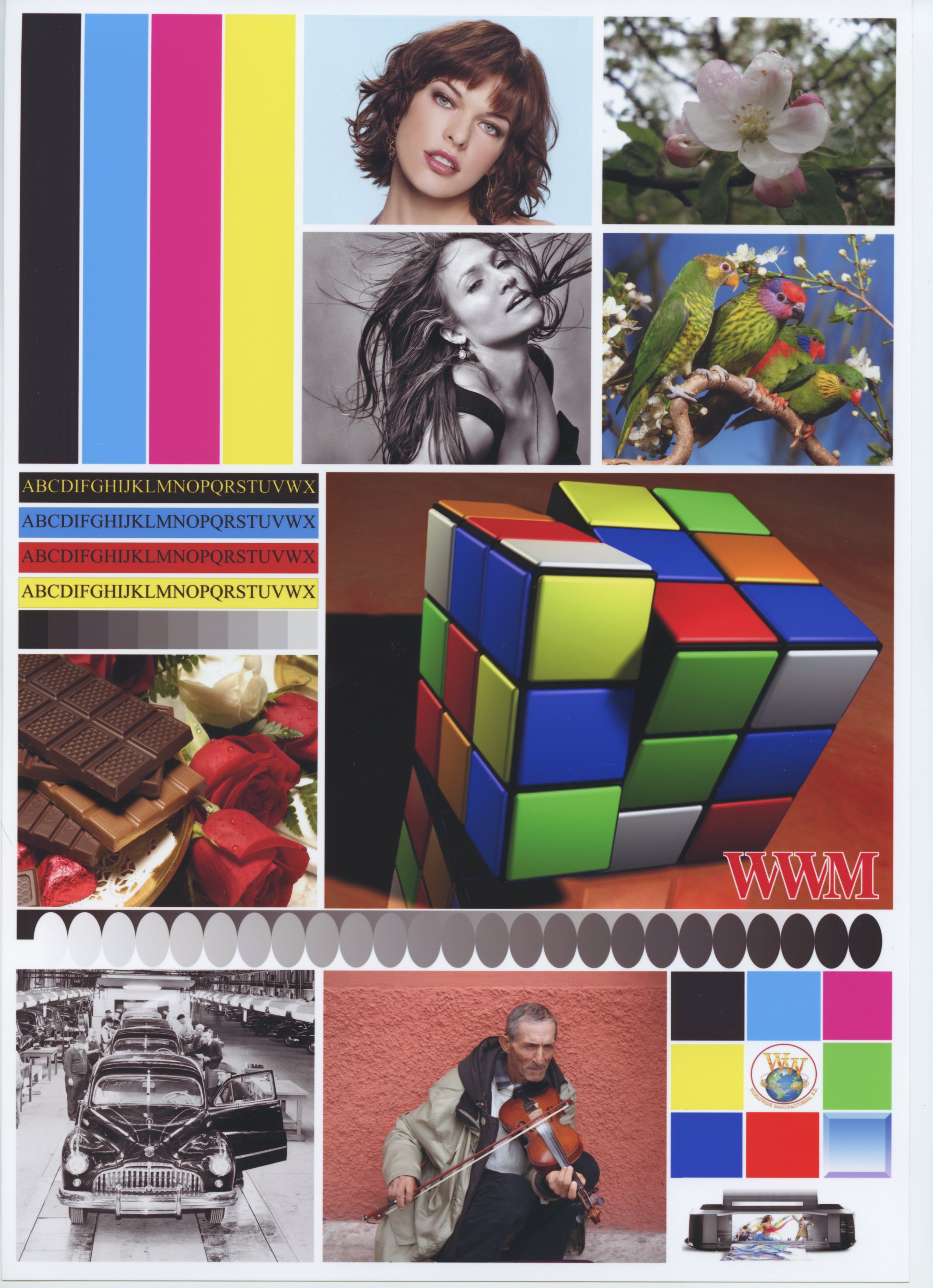 l800.jpg