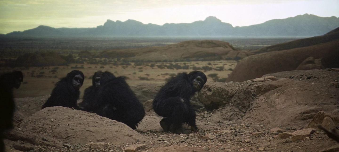 screen-shot-2011-06-08-at-123705.png